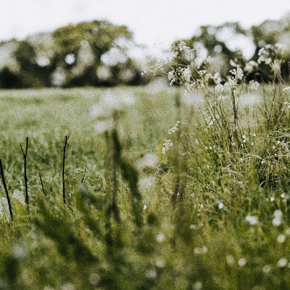 Cinderella Enamel Pin - Jaq | Disney - Picture 2 of 6